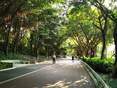 -南宁南湖公园