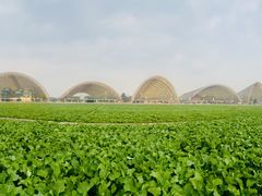 -中国天府农业博览园