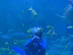-左海海底世界