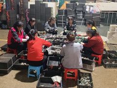 大堂-海峡水产品交易中心(海鲜交易区)