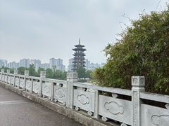 -洋湖国家湿地公园