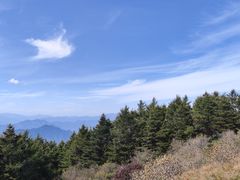 -白草畔自然风景区