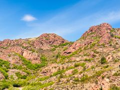 -红山国家森林公园