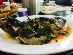 清蒸石斑鱼-巽寮印象美食部落餐厅·海鲜·地方特色菜(惠州体验店)