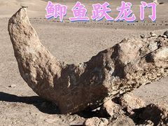 -哈密雅丹大海道景区
