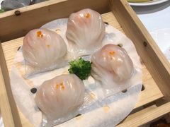 唐宫虾饺皇-唐宫海鲜舫