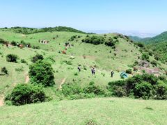 -大姆山草场