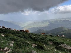 -灵山