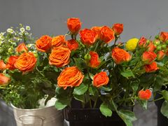 -何兮花店·气球派对鲜花店(马桥银春路万科城店)