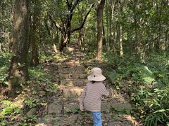 -超山青莲寺