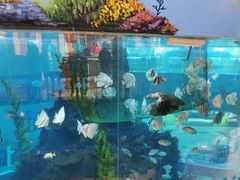 -鸿通城购物中心