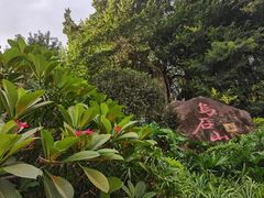 -乌山风景区