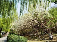 -元大都城垣遗址公园