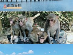 -海南分界洲岛旅游区