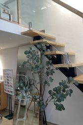 -初心纹眉洗眉·美睫专业店