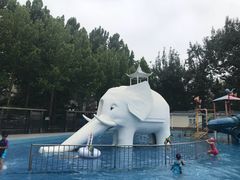 -青年湖公园水上世界