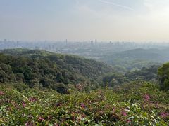 -广州市白云山风景名胜区