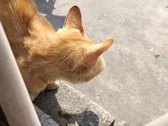 -友口福(大良店)