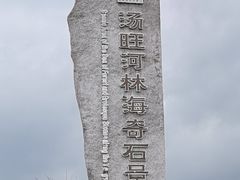 -汤旺河林海奇石景区