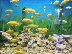 -泉州海丝野生动物世界