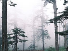 -瓦屋山景区
