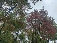 -武汉园博园(武汉自然博物馆)