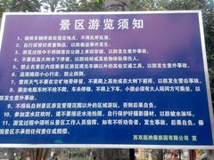 -西双版纳傣族园