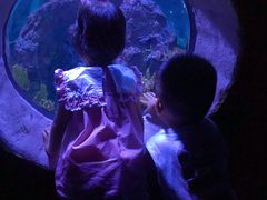 -成都浩海立方海洋公园