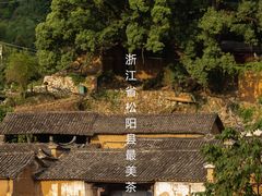 -杨家堂村