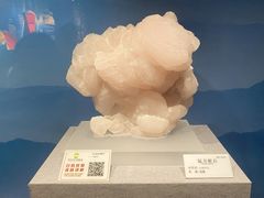 -贵州省地质博物馆