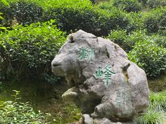 -十八棵（老龙井）御茶园(老龙井店)
