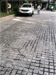 -金太子形象设计