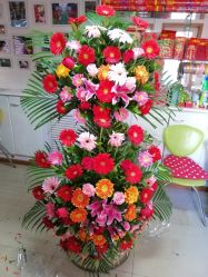 -雅奇婚庆(永乐园社区店)