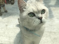 -小时光咖啡馆(北锣鼓巷店)