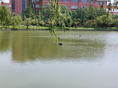 -中国计量大学(西校区)