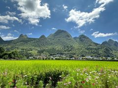 -万峰林风景区