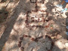 -朕悦鹧鸪饭私房菜