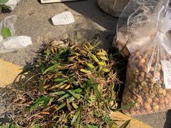 -永汉农贸综合市场