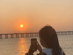 -宝安西湾红树林湿地公园