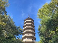 -灵谷景区