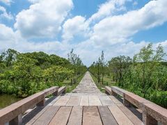 -广富林郊野公园