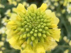 -中国天府农业博览园