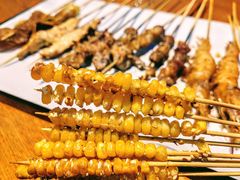 -京狮炙燥·精酿烧烤(首经贸店)