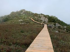 -白草畔自然风景区