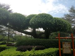 -碧水湾温泉