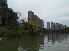 -金山公园