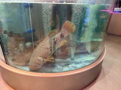 -海底捞大排档火锅(打浦路店)