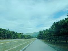-清东陵