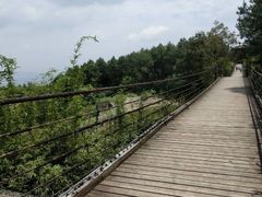 -铁山坪森林公园