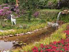 -名花谷生态庄园